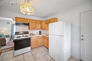 105 Larch Dr, Colorado Springs, CO 80911 - photo 6