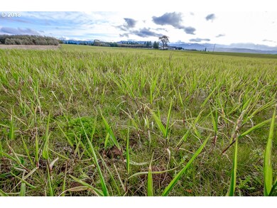 7950 Red Prairie Rd, Sheridan, OR 97378 - photo 4