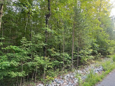 0 Ln unit 1524864, South Pittsburg, TN 37380 - photo 4