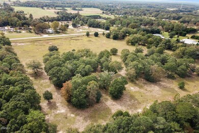 20 Ac Highway 612, Lucedale, MS 39452 - photo 6