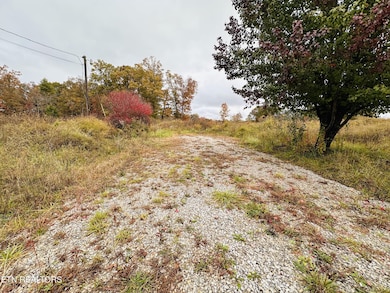 414 Nashville Hwy, Deer Lodge, TN 37726 - photo 5