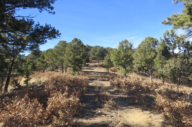 0 Raton Overlook unit Parcel 9 18-3, Trinidad, CO 81082 - photo 5