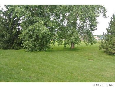 Backyard PRIVATE !