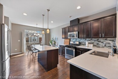 2525 Dunraven Ave, Naperville, IL 60540 - photo 5