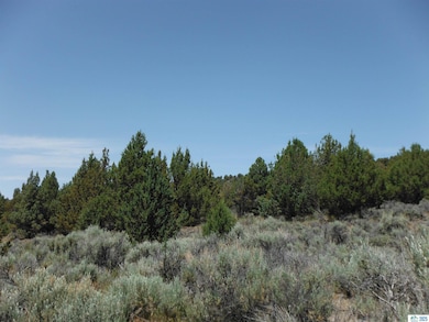 0 Tuledad Rd unit 202500229, Ravendale, CA 96123 - photo 4