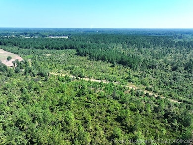 TBD Alamac Rd, Lumberton, NC 28358 - photo 3