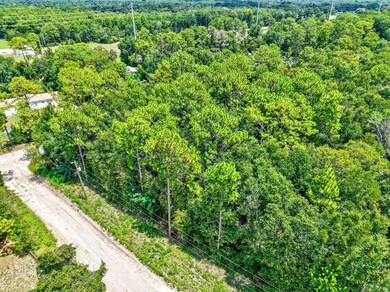 0 NE 51st Place, Williston, FL 32696 - photo 7