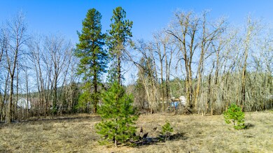 2365 Morse Way, Chewelah, WA 99109 - photo 6