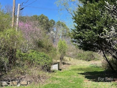 14 Dry Leaf Rd, Alexander, NC 28701 - photo 6