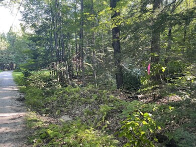 Lot #17R Waterview Trail, Bridgton, ME 04009 - photo 5