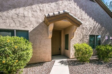 Desert Willow St-5