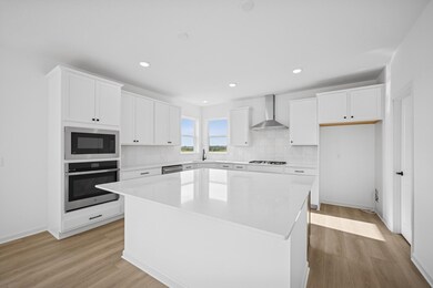 Beautiful Gourmet Kitchen