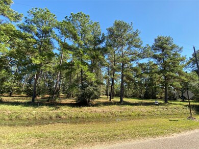 000 Tudor Way, Magnolia, TX 77355 - photo 7