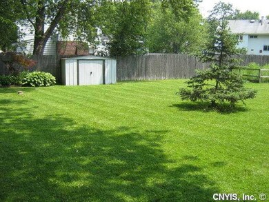 Yard/Garden