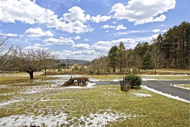 175 Shady Maple Ln, Kunkletown, PA 18058 - photo 3