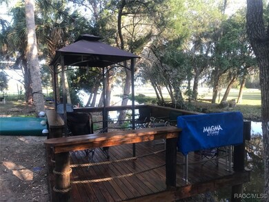 14208 W Sutton Ct, Crystal River, FL 34429 - photo 6