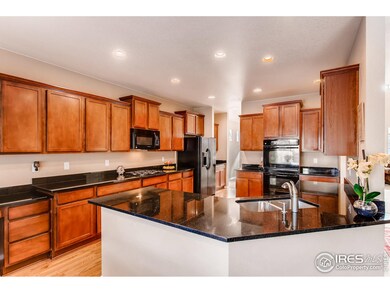 6316 Spring Valley Rd, Timnath, CO 80547 - photo 7