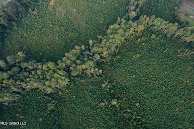 0 Blizzard Rd, Meridian, MS 39305 - photo 7