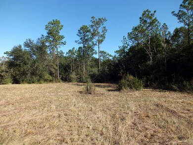 Lot 7 East Side