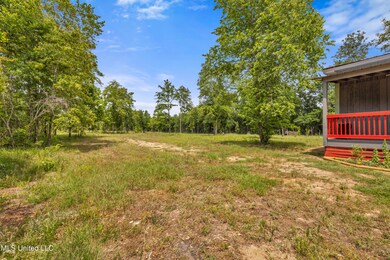 172 Albert Davis Rd, Lucedale, MS 39452 - photo 4