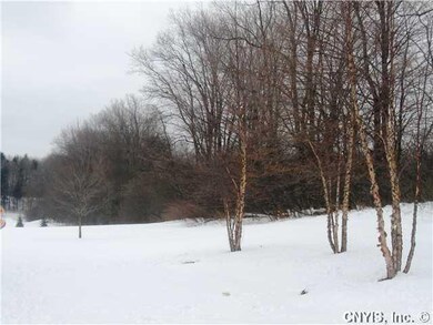 Yard/Garden