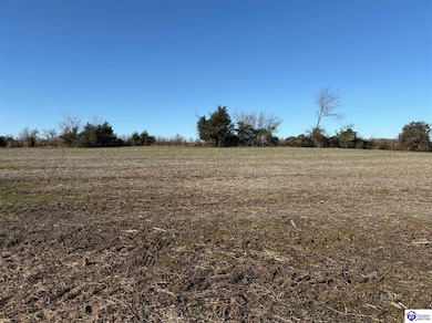 219 Owl Creek Dr, Vine Grove, KY 40175 - photo 3