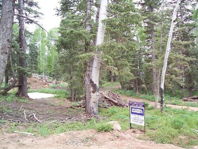 1460 W View Dr unit ZVME A-11, Duck Creek Village, UT 84762 - photo 3