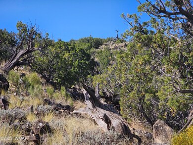 0 N6448, St. Johns, AZ 85936 - photo 2