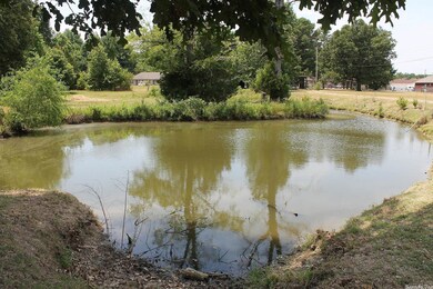 721 Mcpherson St, Paragould, AR 72450 - photo 4