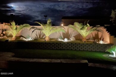 The Backyard at Night