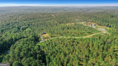 13 Poetic Ct, Ellijay, GA 30540 - photo 4