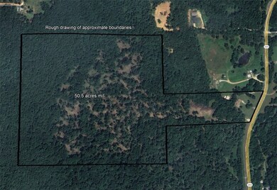 16293 Arkansas 265, West Fork, AR 72774 - photo 4