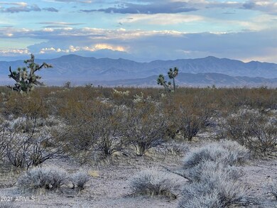 3503 S Lone Ranger Rd unit 3503, Yucca, AZ 86438 - photo 7