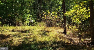 0 Briary Bottom Ln, Great Cacapon, WV 25422 - photo 4