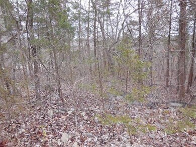 Branson Area Lot for sale