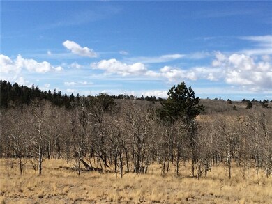 1524 Mcdowell Dr, Como, CO 80432 - photo 4