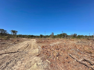 3 Pleasant Ln, Wesson, MS 39191 - photo 2