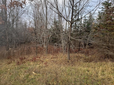 Lot 2 & 3 County Road M 202nd St, Alden Township, WI 54026 - photo 3
