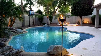 Backyard 2