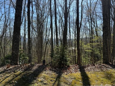 lot 22 Bright Mountain Rd, Cullowhee, NC 28723 - photo 4