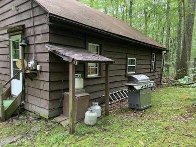 160 Five Mile Meadow Rd, Dingmans Ferry, PA 18328 - photo 4