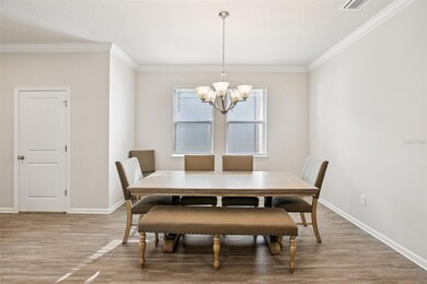 12326 Blue Pacific Dr, Riverview, FL 33579 - photo 4