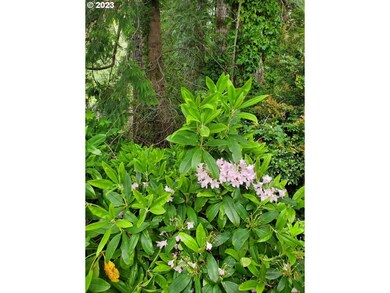 0 Munsel Lake Rd unit TL100 23119993, Florence, OR 97439 - photo 3