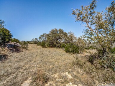 10411 Doherty Springs, San Antonio, TX 78255 - photo 4