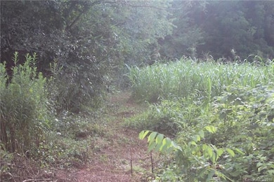 This is the best way to walk to the hill top. It i