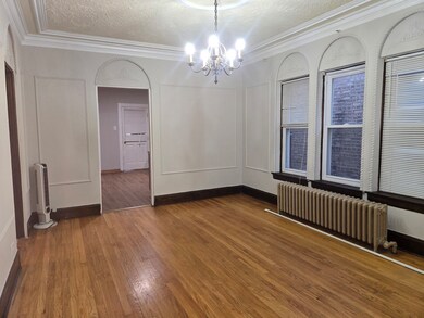 3141 N Luna Ave unit 2, Chicago, IL 60641 - photo 5