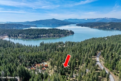 6339 S Cormorant Ct, Harrison, ID 83833 - photo 6