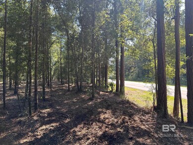 0 Newman Rd unit 3 365680, Mobile, AL 36695 - photo 4