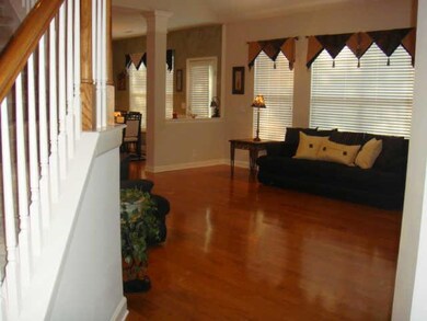 Entry to the Living Room from Foyer