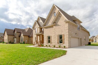 Beautiful side profile